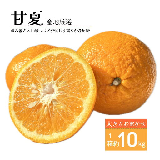 産地厳選 甘夏 1箱 約10kg 大きさおまかせ 産地厳選 甘夏 1箱 約10kg 大きさおまかせ