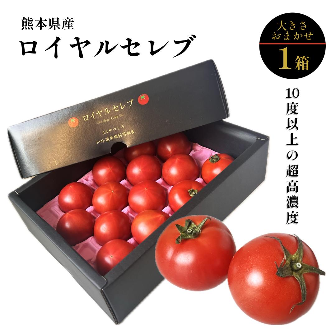 熊本県産 ロイヤルセレブ はちべいトマト 1箱 大きさおまかせ