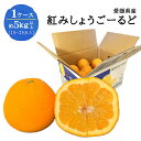 愛媛県産 紅みしょうごーるど 1ケース 約5kg以上 15~25玉入