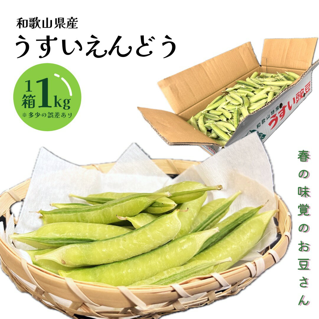 九州・和歌山産他 ”一寸豆（そら豆）” 大粒Lサイズ 約2kg【予約 4月以降】 送料無料