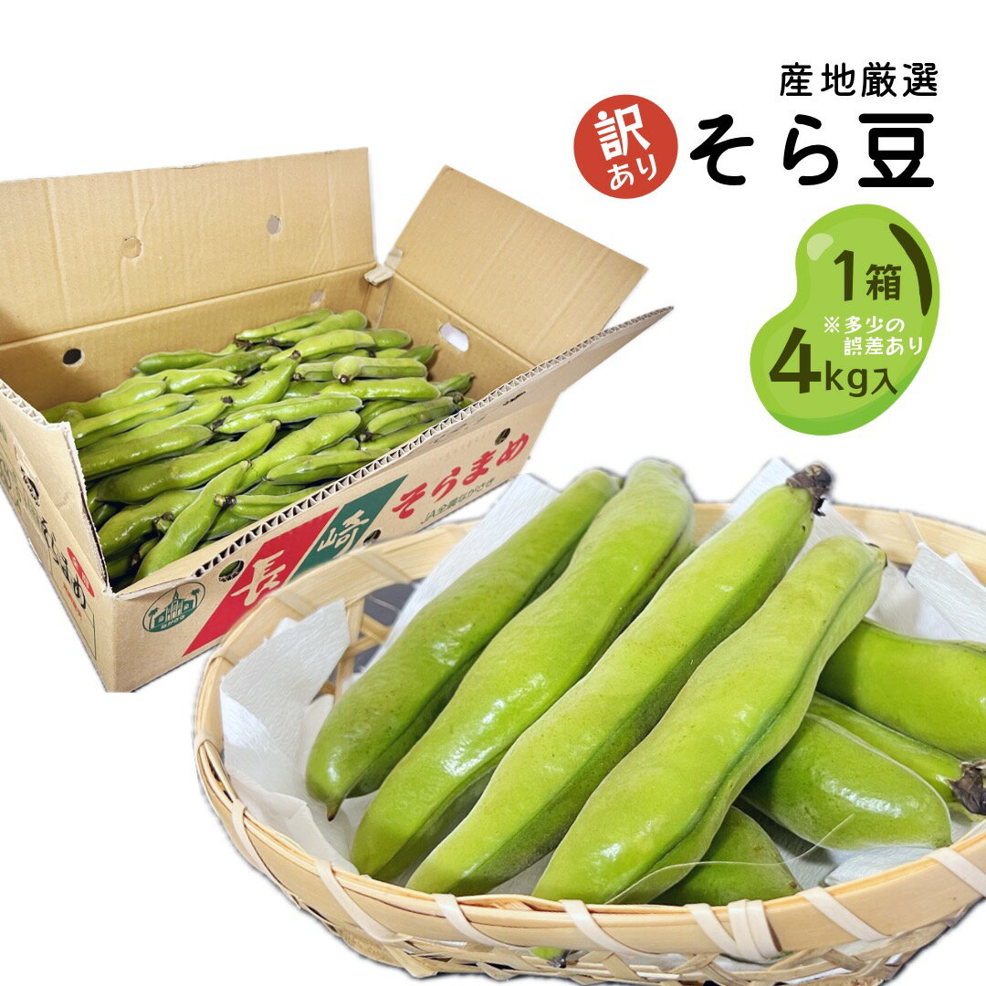 産地厳選 そら豆 蚕豆 1箱 約4kg 少々訳あり