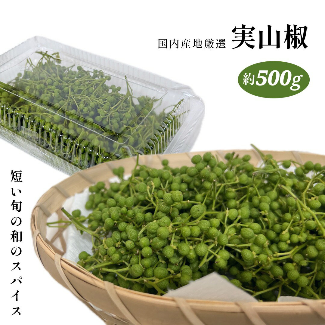 木の芽〈キノメ〉別称：山椒の葉〈サンショウノハ〉1ケース、40パック前後、400g前後