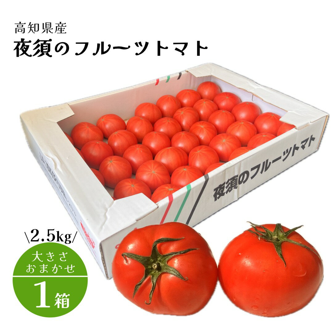 高知県産 夜須のフルーツトマト 1箱 2.5kg 大きさおまかせ