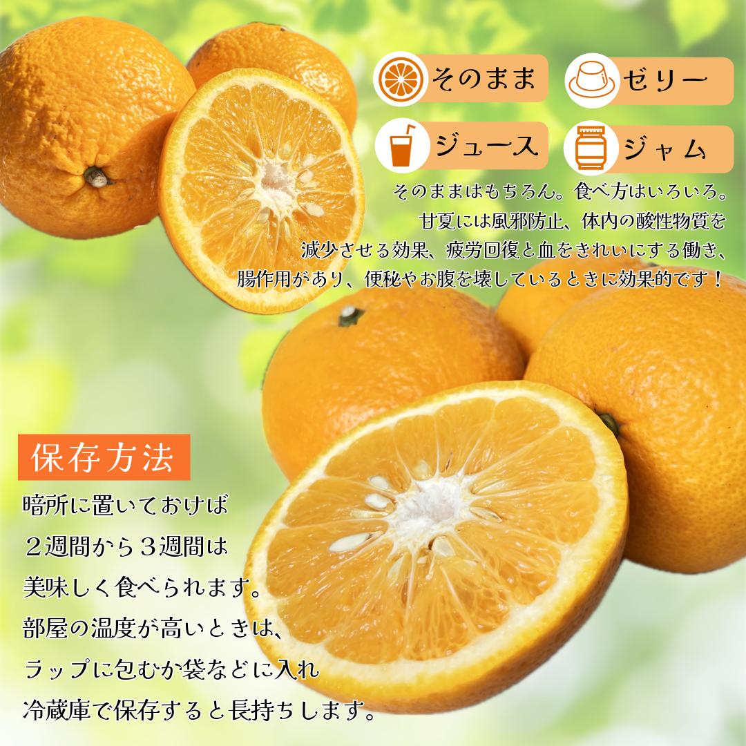 産地厳選 甘夏 1箱 約5kg 大きさおまかせ