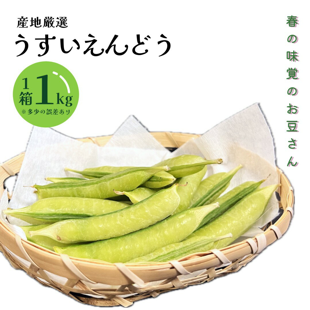 九州・和歌山産他 ”一寸豆（そら豆）” Mサイズ 約2kg【予約 4月以降】 送料無料