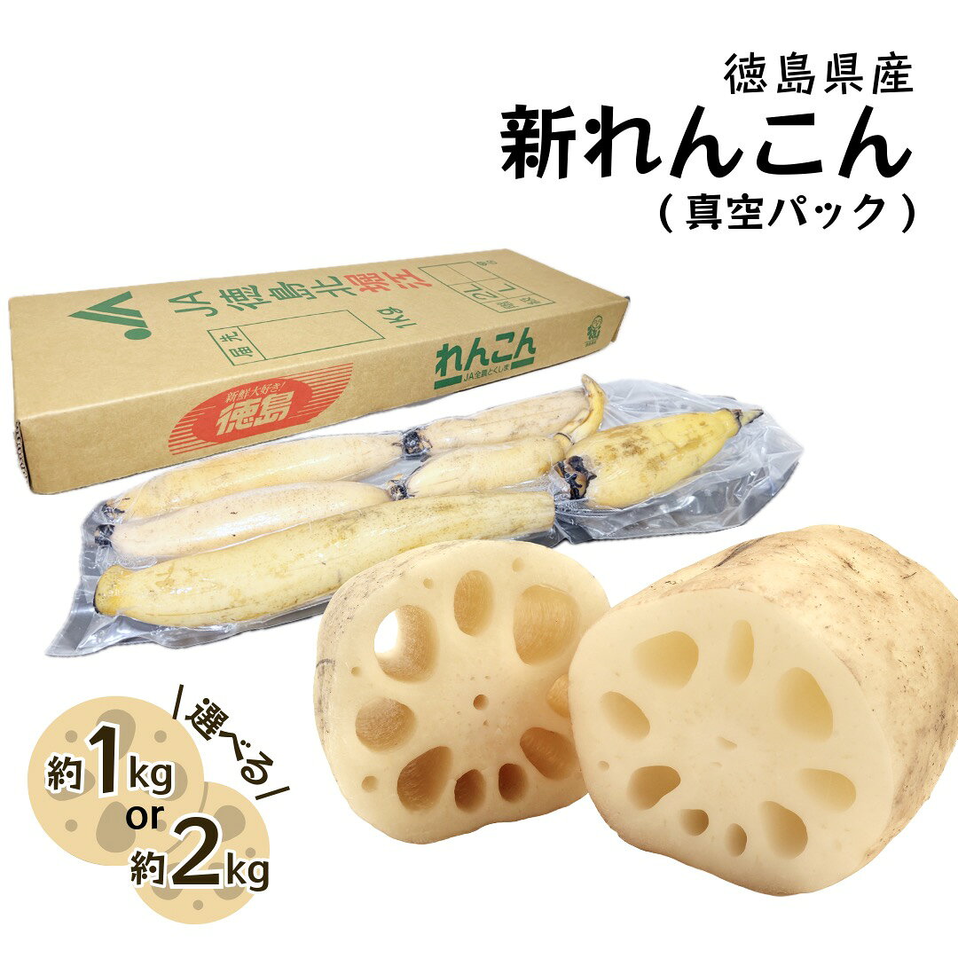 れんこん 新れんこん 蓮根 真空パック 約1kg 2kg 徳島産 お中元 fleck-10000541 フレック・フーズ パッケージ画像