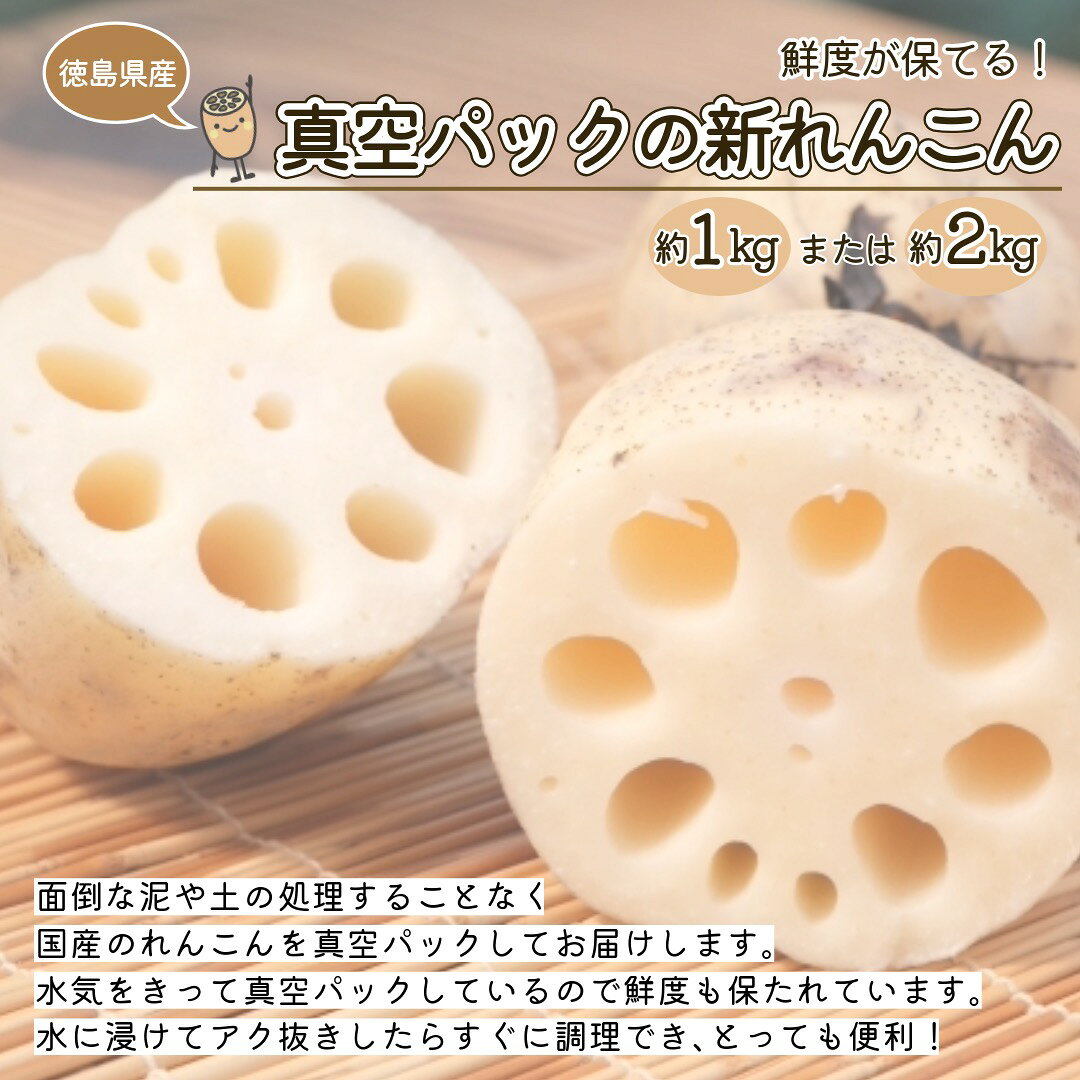 れんこん 新れんこん 蓮根 真空パック 約1kg 2kg 徳島産 お中元 fleck-10000541 フレック・フーズ サンプル画像2