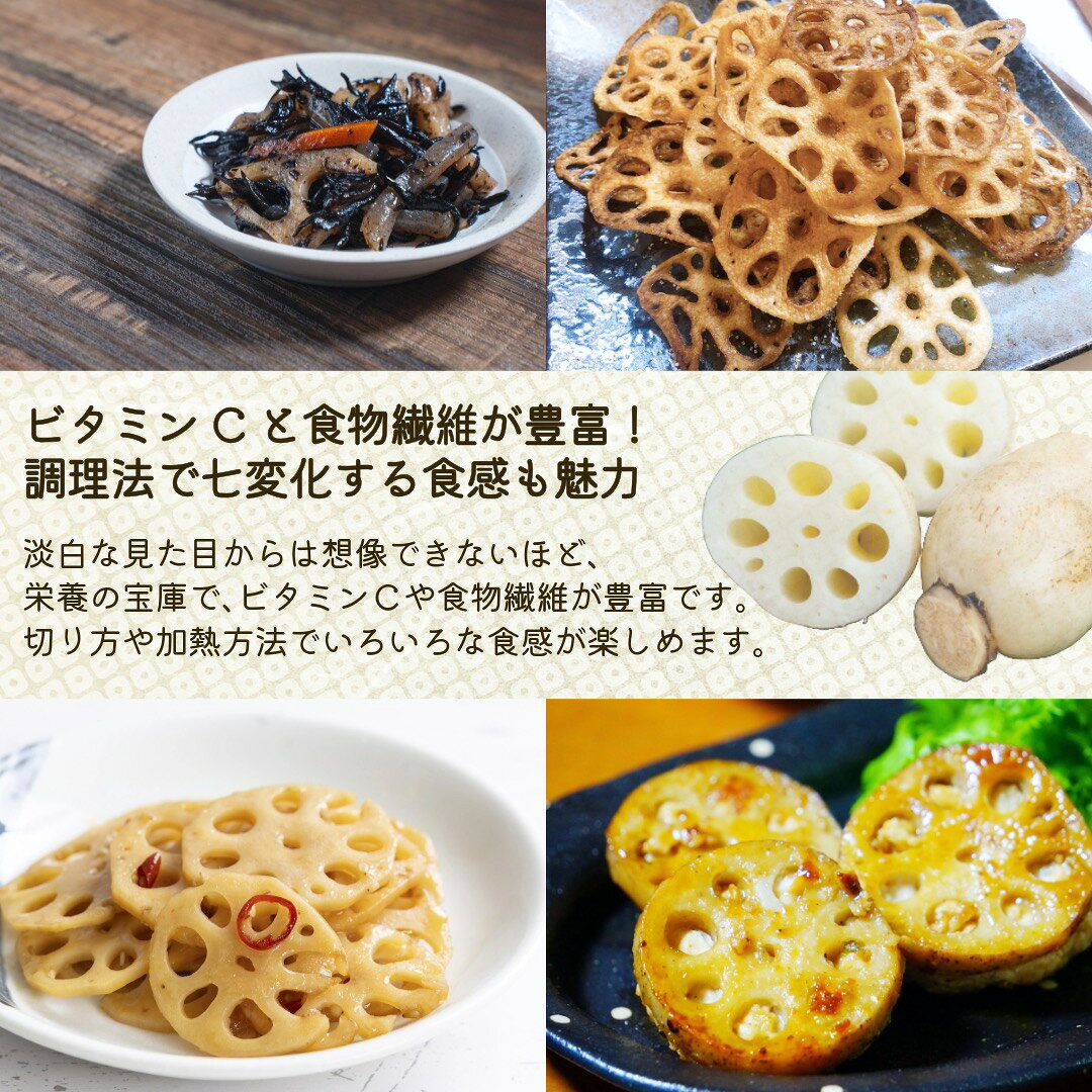 れんこん 新れんこん 蓮根 真空パック 約1kg 2kg 徳島産 お中元 fleck-10000541 フレック・フーズ サンプル画像3