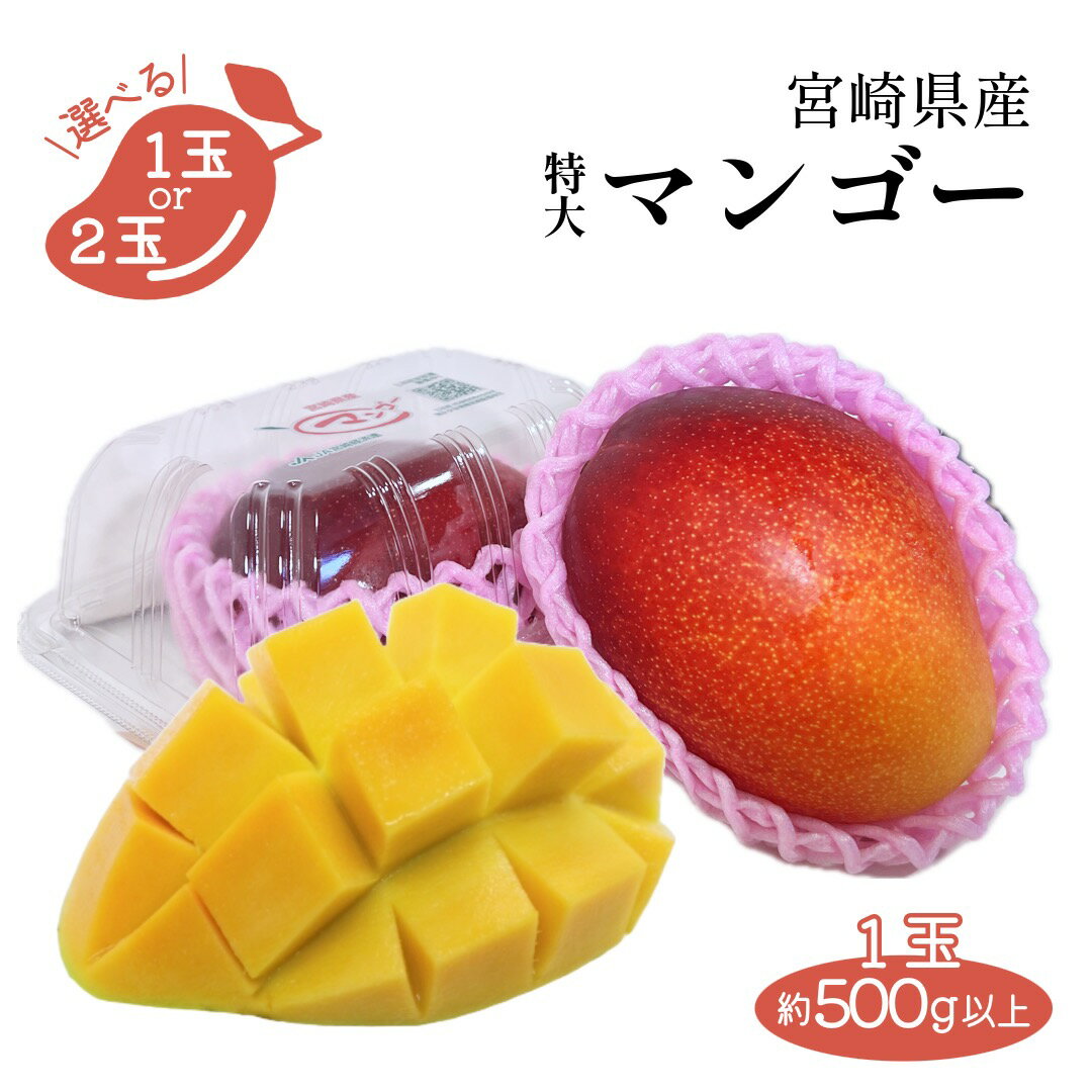 宮崎マンゴー 秀品 約500g以上 4Lサイズ 宮崎県産 1玉または2玉 フルーツ 果物 ギフト プレゼント お中元 父の日