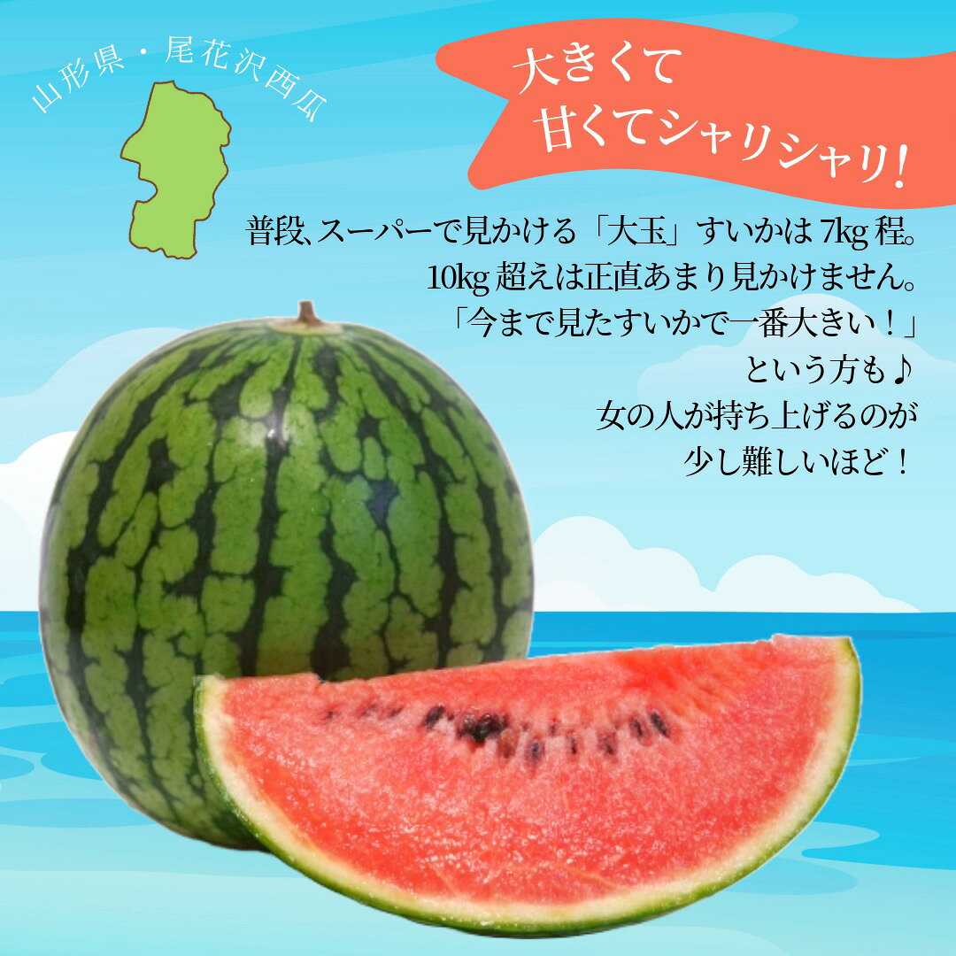 フレック・フーズのすいか 訳あり 尾花沢西瓜 訳あり 山形県産 6L 約10kg以上 スイカ お中元｜アングル3