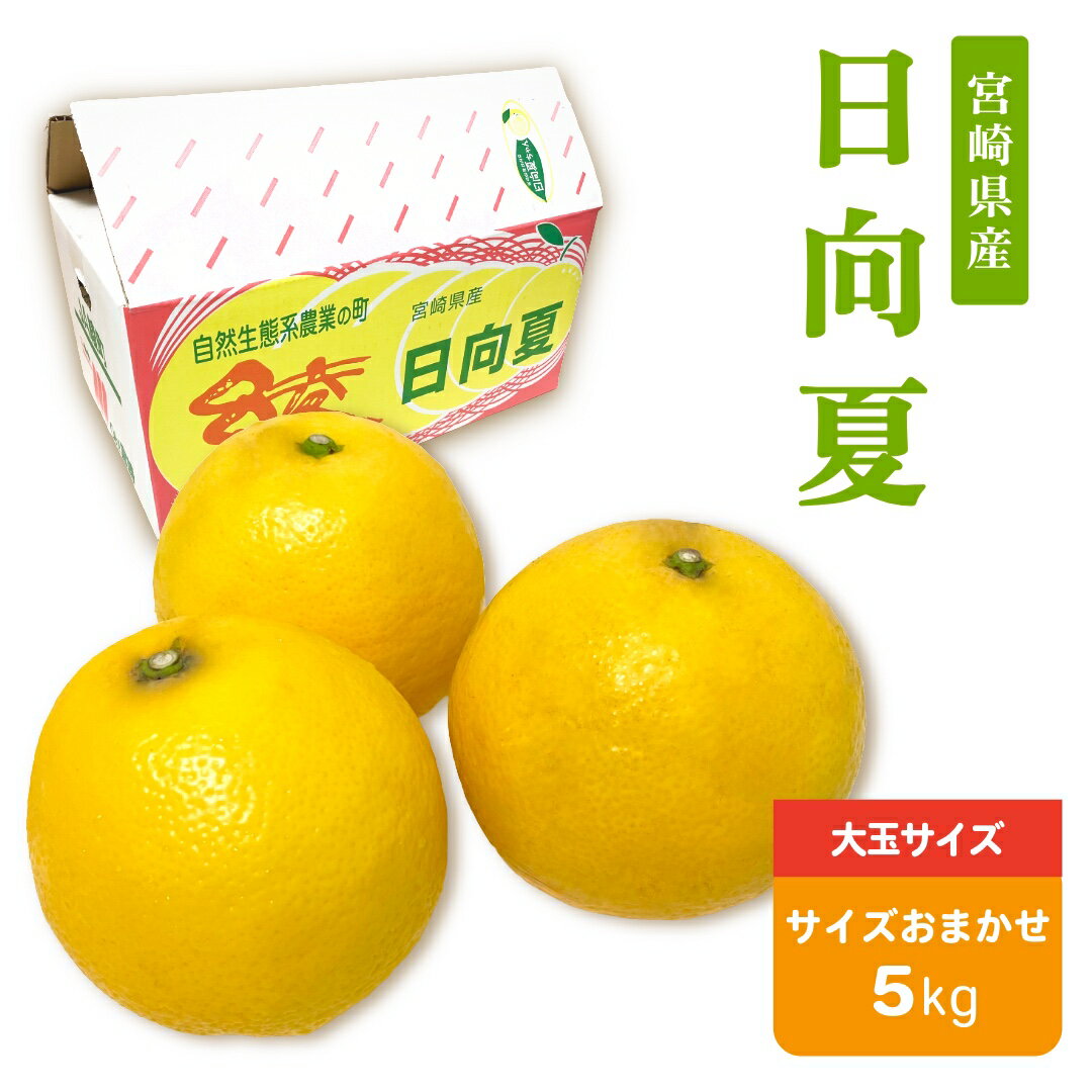 宮崎県産 日向夏 5kg