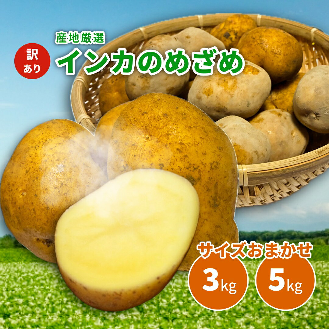 楽天市場】インカのめざめ 訳あり 送料無料の通販