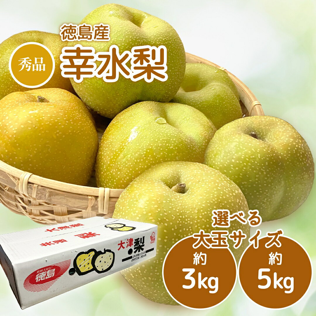 梨 幸水梨 徳島産 1箱約5kgまたは約10kg 果物 お中元