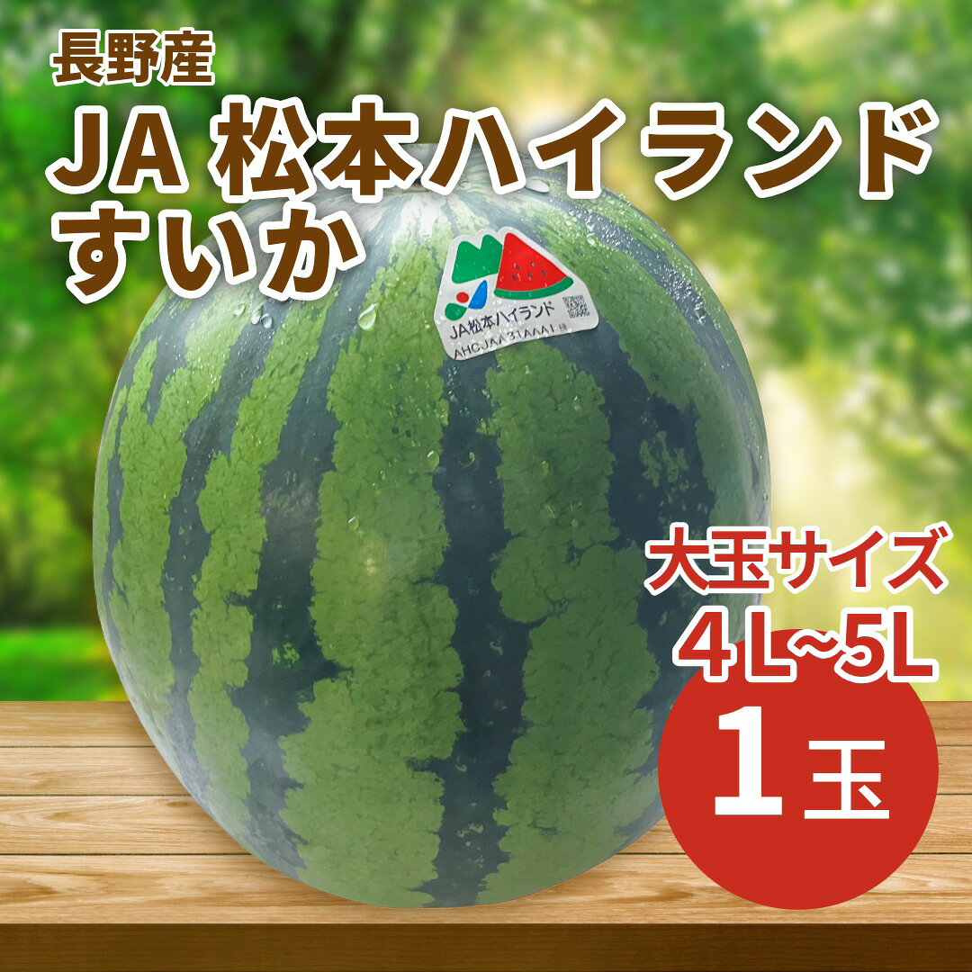 スイカ すいか 松本ハイランドすいか 長野産 1玉 大玉サイズ 4L~5L プレゼント 贈答 お中元