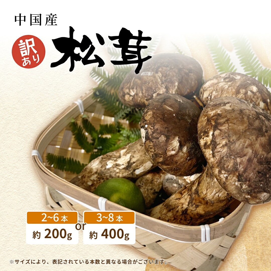 楽天市場】松茸200gの通販