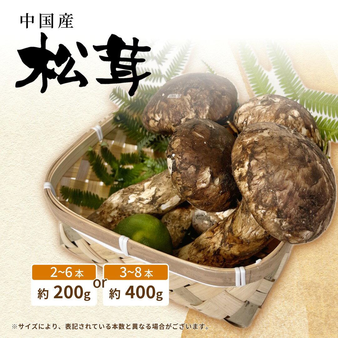 松茸 マツタケ まつたけ 中国産 1箱1箱約200g入または400g入 2~6本または3~8本 大きさサイズ形おまかせ ギフト 贈り物