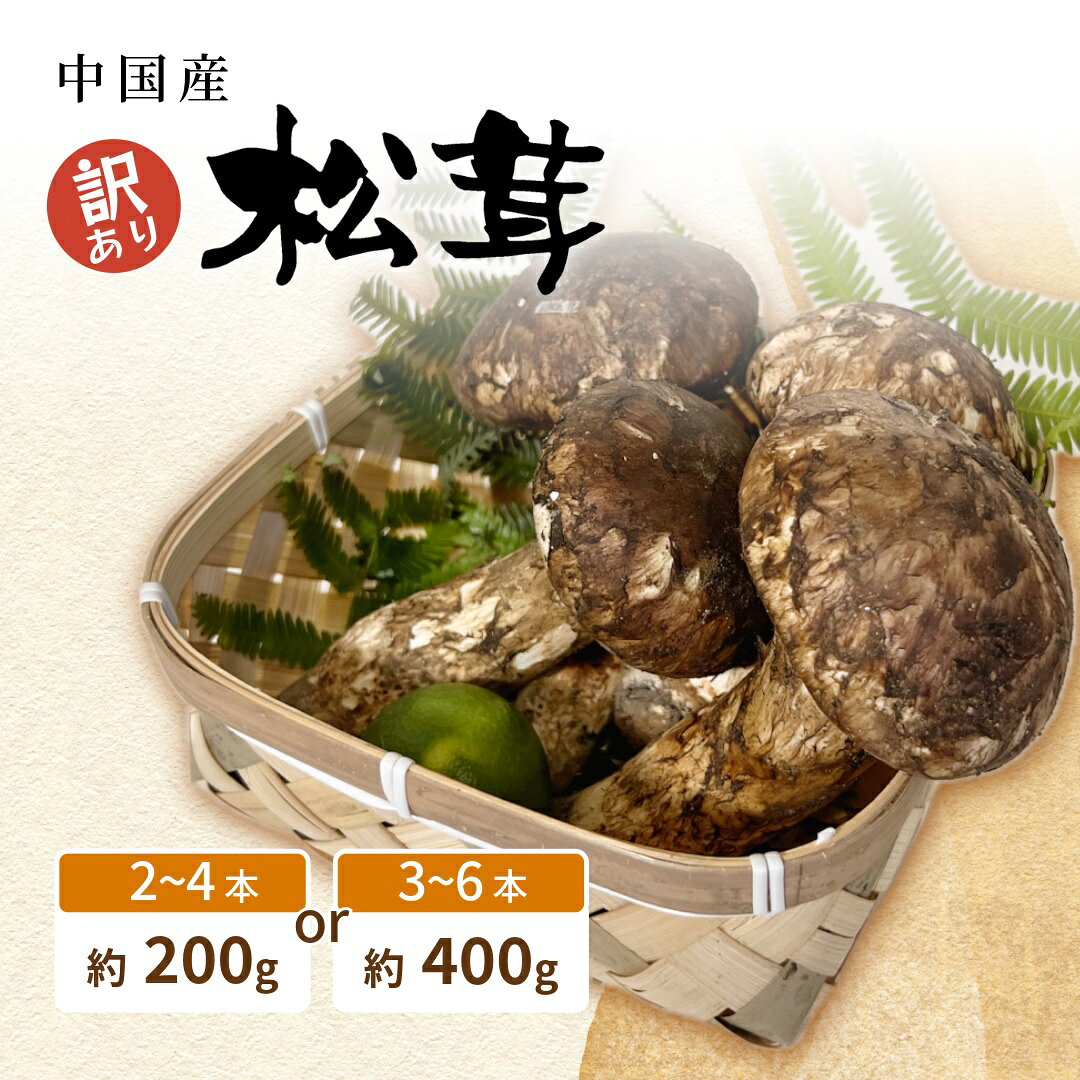 楽天市場】松茸200gの通販