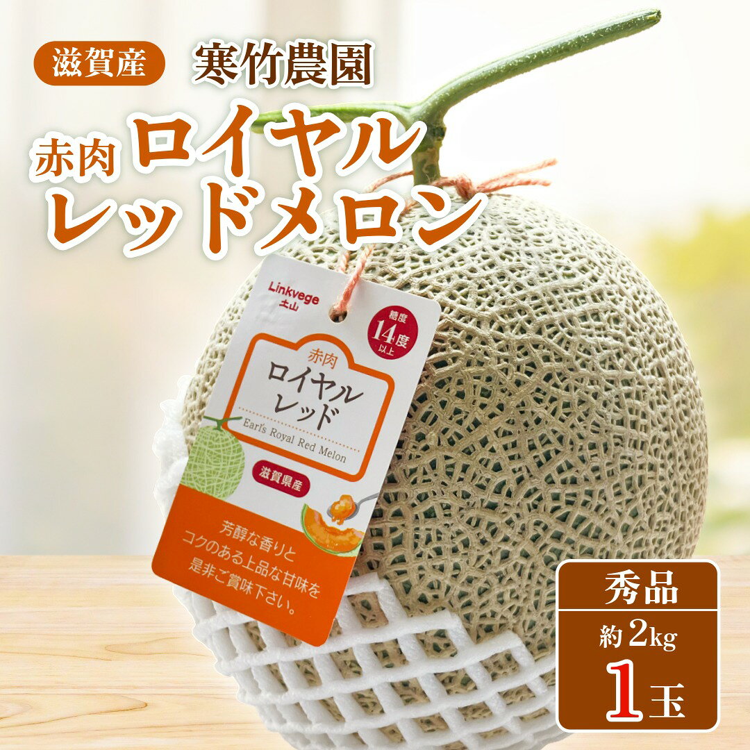 楽天市場】ドクターメロンrの通販