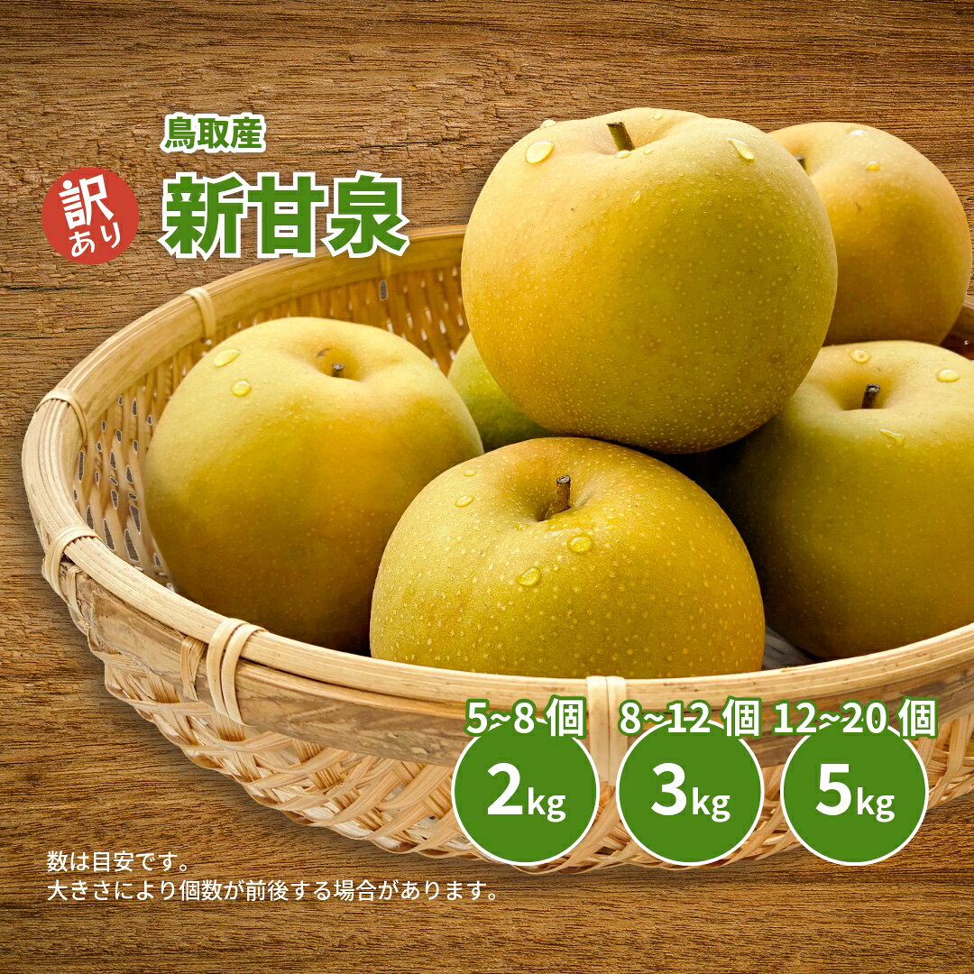 梨 新甘泉 しんかんせん 訳あり 鳥取産 1箱約2kg または 3kg または 5kg サイズおまかせ 果物 フルーツ