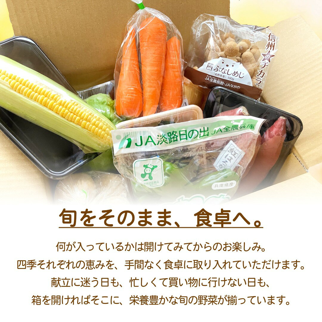 フレック・フーズの野菜セット 野菜詰め合わせ 産地厳選 旬の野菜セット おまかせ 1箱7品以上または10品以上 野菜 贈り物 ギフト お中元｜アングル3