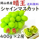 お中元 シャインマスカット 【赤秀】 400g×2房 送料無料 晴王 岡山県産 贈答 ぶどう ギフト プレゼント のし 熨斗対応 指定日OK 御礼 お見舞い 贈...