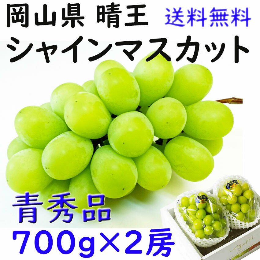 商品情報名称シャインマスカット産地名岡山県産内容量700g×2房保存方法冷蔵庫で保存備考JA農協品シャインマスカット 【青秀】 700g×2房 送料無料 晴王 贈答 岡山県産 ぶどう ギフト プレゼント のし 熨斗対応 指定日OK 御礼 お...