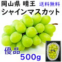 お中元 シャインマスカット 【優品】 500g 送料無料 晴王 家庭用 岡山県産 ぶどう ギフト プレゼント のし 熨斗対応 指定日OK 御礼 お見舞い 贈り物...