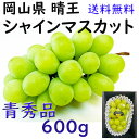 お中元 シャインマスカット 【青秀】 600g 送料無料 晴王 岡山県産 ぶどう 贈答 ギフト プレゼント のし 熨斗対応 指定日OK 御礼 お見舞い 贈り物 ...