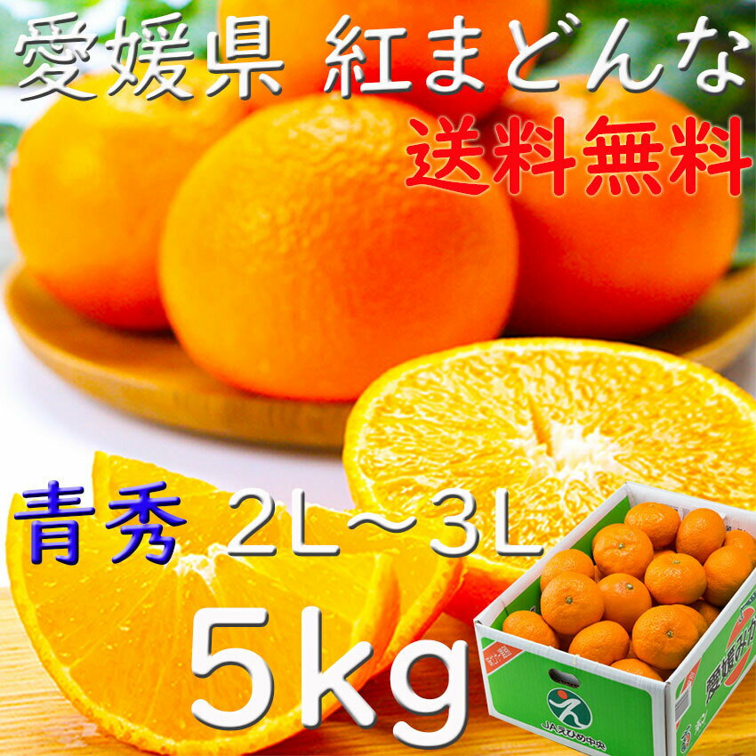 紅まどんな みかん 5kg 青秀 2L〜3L お歳暮 愛媛県 送料無料JAえひめ ギフト 熨斗 のし プレゼント 光センサー選科 贈答 指定日OK