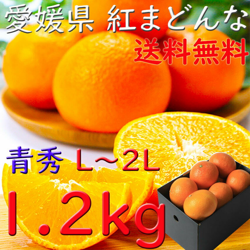 紅まどんな みかん 秀品 お歳暮 愛媛県 1、2kg M〜2Lサイズ 送料無料 JAえひめ 光センサー選科 御歳暮 贈答 ギフト 熨斗 プレゼント 指定日OKのサムネイル