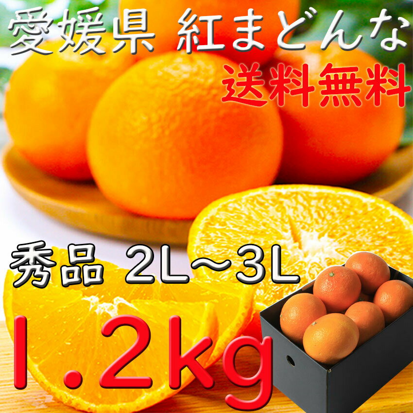 紅まどんな みかん 秀品 お歳暮 愛媛県 1、2kg 2L〜3Lサイズ 送料無料 JAえひめ 光センサー選科 御歳暮 贈答 ギフト 熨斗 プレゼント 指定日OKのサムネイル