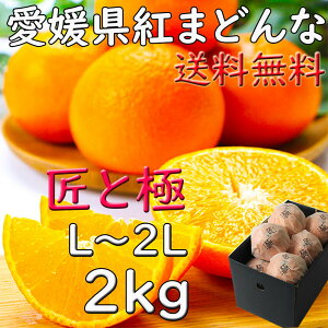 紅まどんな みかん 匠と極 お歳暮 愛媛県 2kg L〜2Lサイズ 送料無料 JAえひめ 光センサー選科 御歳暮 贈答 ギフト 熨斗 プレゼント 指定日OK