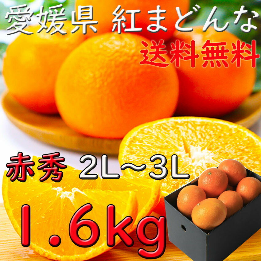 紅まどんな みかん 赤秀 お歳暮 愛媛県 1、6kg 2L〜3Lサイズ 送料無料 JAえひめ 光センサー選科 御歳暮 贈答 ギフト 熨斗 プレゼント 指定日OK