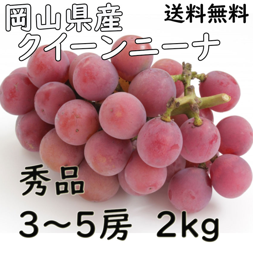 商品情報名称シャインマスカット産地名岡山県産内容量2房800g保存方法冷蔵庫で保存備考JA農協品お中元 シャインマスカット 【優品 家庭用】 2房 計800g 送料無料 晴王 岡山県産 ぶどう 贈答 ギフト プレゼント のし 熨斗対応 指定日OK 御礼 お見舞い 贈り物 JA 農協品 皮ごと食べれるシャインマスカット 2
