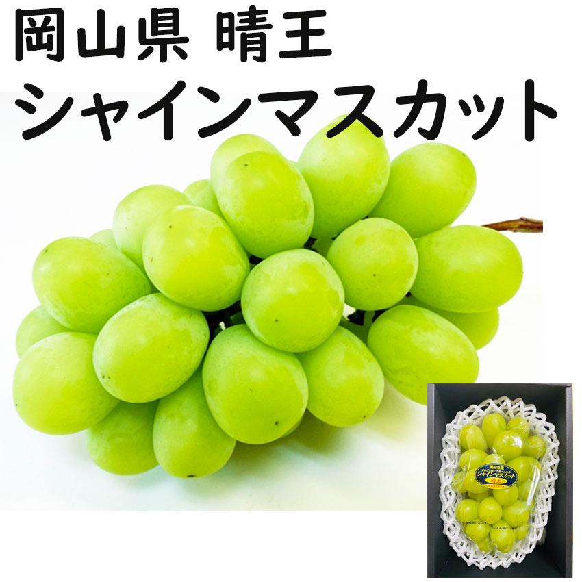 お中元 シャインマスカット 【赤秀】 800g 送料無料 晴王 岡山県産 ぶどう 贈答 ギ...