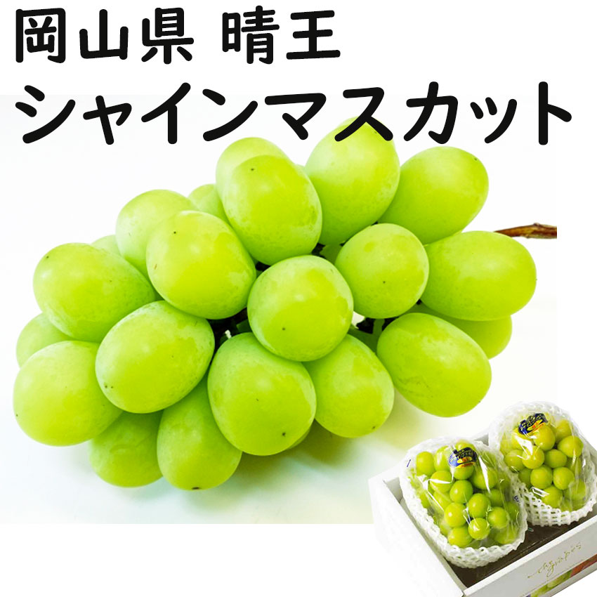 商品情報名称シャインマスカット産地名岡山県産内容量500g×2房保存方法冷蔵庫で保存備考JA農協品シャインマスカット 【青秀】 500g×2房 送料無料 晴王 贈答 岡山県産 ぶどう ギフト プレゼント のし 熨斗対応 指定日OK 御礼 お見舞い 贈り物 JA 農協品 皮ごと食べれるシャインマスカット 2