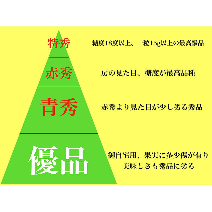 桃太郎フルーツのお中元 シャインマスカット 【青秀】 800g×2房 送料無料 晴王 岡山県産 ぶどう 大房 大粒 豪華 ギフト プレゼント のし 熨斗対応 指定日OK 御礼 お見舞い 贈り物 JA 農協品｜アングル2