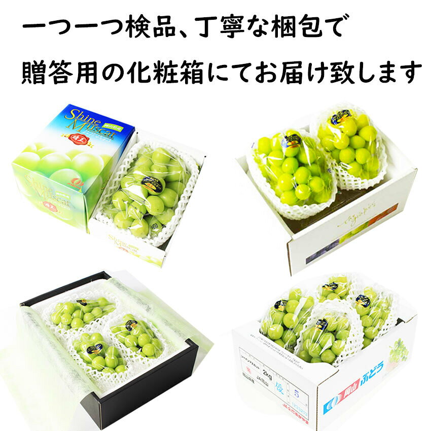 桃太郎フルーツのお中元 シャインマスカット 【青秀】 800g×2房 送料無料 晴王 岡山県産 ぶどう 大房 大粒 豪華 ギフト プレゼント のし 熨斗対応 指定日OK 御礼 お見舞い 贈り物 JA 農協品｜アングル3