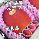 母の日 父の日 宮崎県産 完熟マンゴー【赤秀】4L3玉 送料無料 贈答 大玉 ギフト プレゼント のし 熨斗対応 日付指定OK 指定日OK すぐ届く すぐ発送 御礼 お見舞い 贈り物 JA 農協品 高級 果実 果物 南国フルーツ フルーツ 甘い 糖度 糖度保証 まんごー(4)