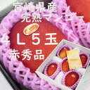 母の日 父の日 宮崎県産 完熟マンゴー【赤秀】4L5玉 送料無料 母の日 贈答 大玉 ギフト プレゼント のし 熨斗対応 日付指定OK指定日OK 御礼 お見舞い...