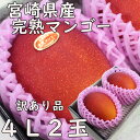 母の日 父の日 宮崎県産 完熟マンゴーちょっと訳あり 4L2玉 送料無料 贈答 大玉 ギフト プレゼント のし 熨斗対応 日付指定OK 指定日OK 御礼 お見舞...