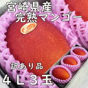 母の日 父の日 宮崎県産 完熟マンゴーちょっと訳あり 4L3玉 送料無料 贈答 大玉 ギフト プレゼント のし 熨斗対応 指定日OK 日付指定OK 御礼 お見舞...