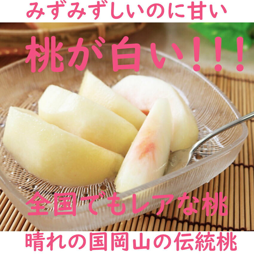 お中元 シャインマスカット 晴王 白桃 ロイヤル ぶどう 贈答用 秀品 1房700g〜799g 5玉250g以上 豪華 詰め合わせ 最高級 岡山産 岡山白桃 送料無料 御中元 のし 熨斗 ギフト 御祝い 御礼 プレゼント fleshchokusoubin-10000121 桃太郎フルーツ サンプル画像2
