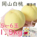 お中元 白桃 約1,5kg 5〜6玉 贈答用 岡山産 岡山白桃 送料無料 御中元 のし 熨斗 ギフト 御祝い 御礼 プレゼント