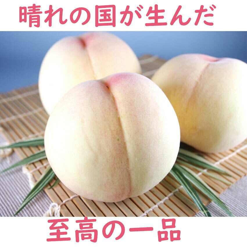 お中元 シャインマスカット 晴王 白桃 ロイヤル ぶどう 贈答用 秀品 1房700g〜799g 5玉250g以上 豪華 詰め合わせ 最高級 岡山産 岡山白桃 送料無料 御中元 のし 熨斗 ギフト 御祝い 御礼 プレゼント fleshchokusoubin-10000121 桃太郎フルーツ サンプル画像3