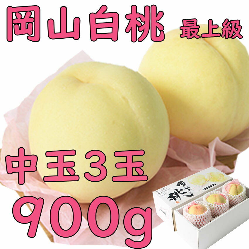 お中元 白桃 約900g 3玉 ロイヤル 贈答用 大玉 岡山産 岡山白桃 送料無料 光センサー 甘い 御中元 のし 熨斗 ギフト 御祝い 御礼 プレゼント