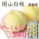 お中元 白桃 約3kg 9〜14玉 家庭用 大玉 岡山産 岡山白桃 送料無料 光センサー 甘い 御中元 のし 熨斗 ギフト 御祝い 御礼 プレゼント