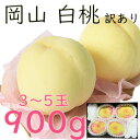 お中元 白桃 約900kg 3〜5玉 家庭用 大玉 岡山産 岡山白桃 送料無料 光センサー 甘い 御中元 のし 熨斗 ギフト 御祝い 御礼 プレゼント