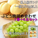 お中元 シャインマスカット 晴王 白桃 ロイヤル ぶどう 贈答用 秀品 1房500g〜599g 4玉250g以上 詰め合わせ 最高級 岡山産 岡山白桃 送料無料...