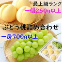お中元 シャインマスカット 晴王 白桃 ロイヤル ぶどう 贈答用 秀品 1房700g〜799g 5玉250g以上 豪華 詰め合わせ 最高級 岡山産 岡山白桃 送料無料 御中元 のし 熨斗 ギフト 御祝い 御礼 プレゼント